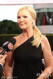 Joan Allen arrives at the 62nd Primetime Emmy Awards
