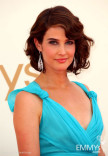 Cobie Smulders arrives at the Academy of Television Arts &amp; Sciences 63rd Primetime Emmy Awards
