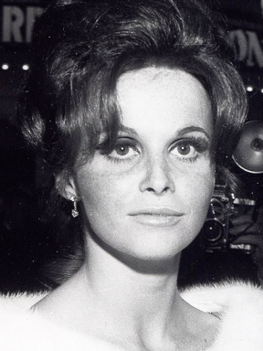 Lynn Loring