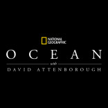 Ocean with David Attenborough