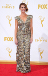 Amy Landecker on the red carpet at the 67th Emmy Awards.