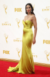 Padma Lakshmi on the red carpet at the 67th Emmy Awards.