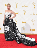 Laila Robins on the red carpet at the 67th Emmy Awards.