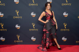 Amy Landecker on the red carpet at the 2016 Primetime Emmys. 
